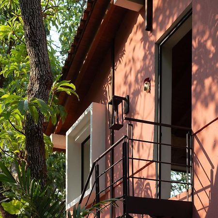 La Paranera Hotel & Relax Comala 외부 사진